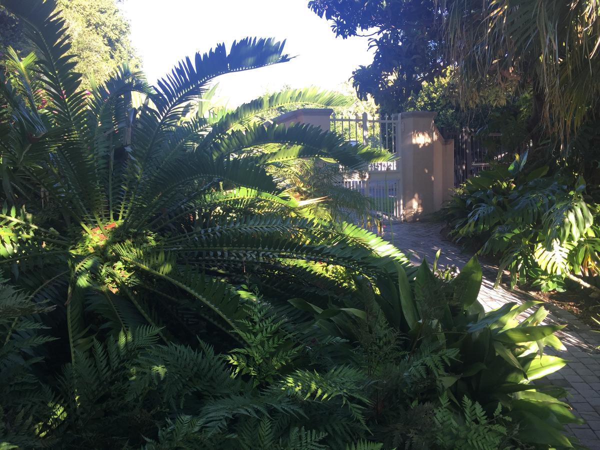 Constantia Valley Lodge كيب تاون المظهر الخارجي الصورة