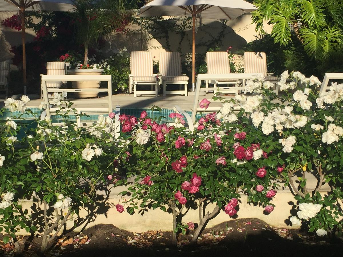 Constantia Valley Lodge كيب تاون المظهر الخارجي الصورة