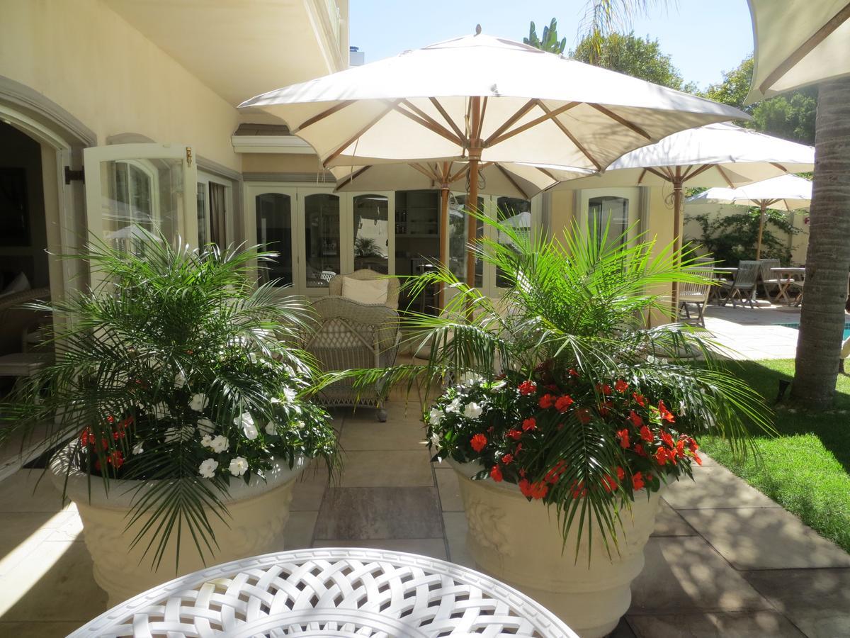 Constantia Valley Lodge كيب تاون المظهر الخارجي الصورة